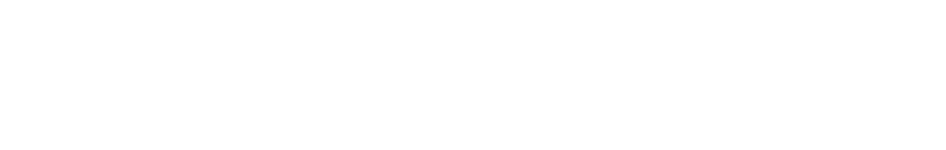 Logo – white